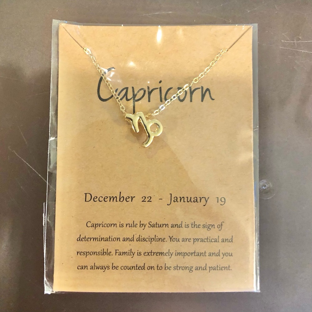 Zodiac Necklace CAPRICORN choose gold or silver tone